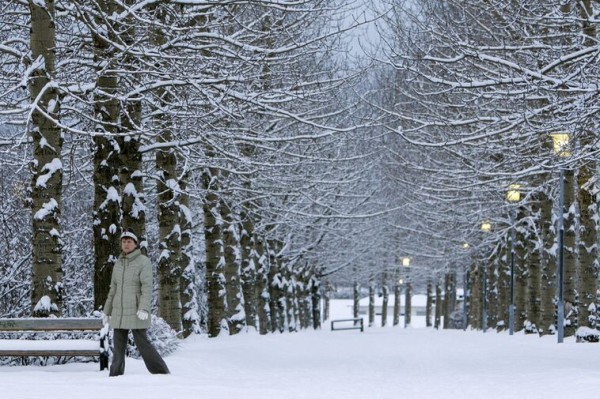 Storm on St Thorlak’s Mass but it is heading for a white Christmas