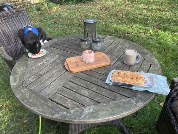 garden table with cat food, Malik eating said food, a burning candle in a salt crystal, coffee (with milk, in a glass mug from grml, hence the colour), and cherry crumble