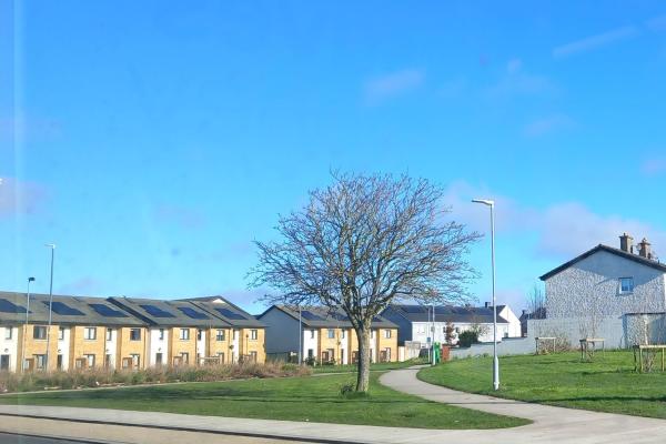 A terrace of houses with solar panels on their roofs, and in the foreground a leaf-less tree on a patch of green.