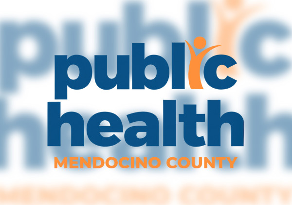 Mendocino County Public Health advises caution after fox tests positive for rabies • The Mendocino Voice