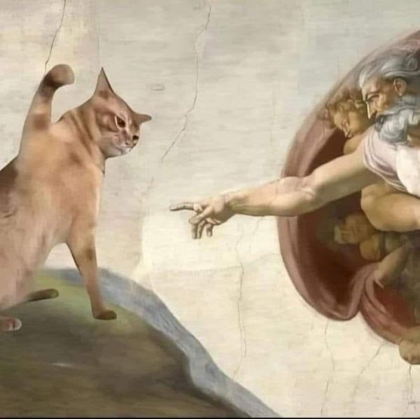 (The painting “The Creation of Adam”, except with a cat, who’s trying to smack God’s finger with its paw)