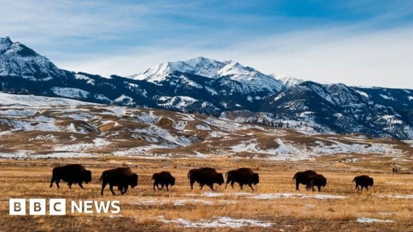 Montana Supreme Court upholds landmark youth climate ruling