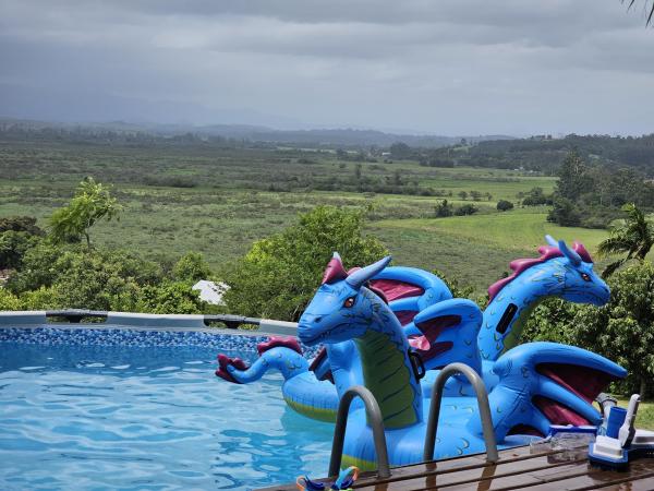 horizon; greenery; a pool; inflatable dragons (I'm told they are pokemons).