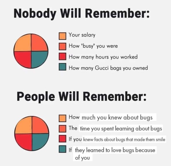 Two identical pie charts with equal sections for yellow, orange, red and green. First is titled "Nobody Will Remember:" with sections for "your salary," "how busy you were," "how many hours you worked," and "how many Gucci bags you owned." Second is titled "People Will Remember:" with sections for "how much you knew about bugs," "the time you spent learning about bugs," "if you knew facts about bugs that made them smile," and "if they learned to love bugs because of you"