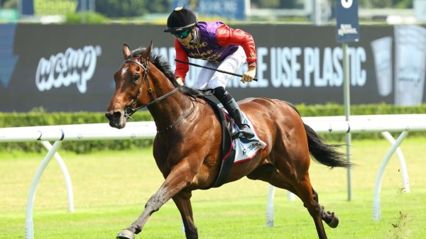 Dylan Browne McMonagle guides Gilded Water to victory at Randwick. Picture: Getty Images