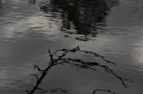 A nearly monochrome photo I took of the surface of a pond on a gloomy day shwoing the reflection of the sky with some watery white clouds and tree tops from the opposite bank as well as a closer branch reflected in the foreground. All looks quite impressionist. 