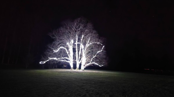 Arburetum Volčji Potok At Night