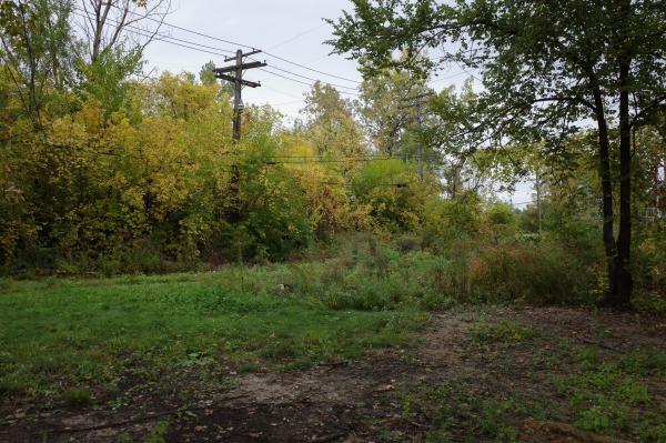 Color photograph of some empty, overgrown lots on a cloudy autumn day. Some scrubby green grass at your feet leads off toward a lot line grown up like a wall of bushes and trees with yellow and green and red leaves, some power lines and poles standing up and out from within the plant