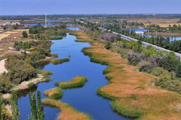 Yellow River Basin sees improved ecological environment