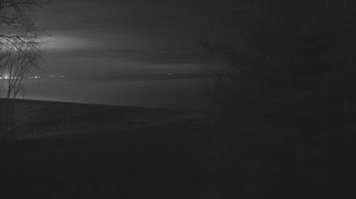 A dry, grassy hillside with a single pine and a few trees beyond which the lake is visible to the horizon. A tiny strip of beach is just visible at the bottom of the hill. // Image captured at: 2024-12-27 03:36:07 UTC (about 26 min. prior to this post) // Current Temp in Gary: 46.16 F | 7.87 C // Precip: overcast clouds // Wind: S at 8.500 mph | 13.6 kph // Humidity: 91%