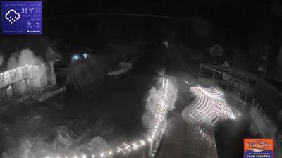 View of the outdoor dining area for The Cove Restaurant and the larger Fishtown complex overlooking a channel leading to Lake Michigan. // Image captured at: 2024-12-30 00:38:04 UTC (about 25 min. prior to this post) // Current Temp in Leland: 37.02 F | 2.79 C // Precip: light rain // Wind: NNE at 20.311 mph | 32.68 kph // Humidity: 99%