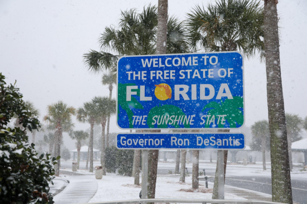 A photo of a sign welcoming people to Florida
Palm trees line the street behind the sign
It is snowing pretty heavily