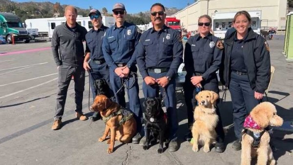 Salinas therapy dogs meet Prince Harry while supporting wildfire efforts in LA