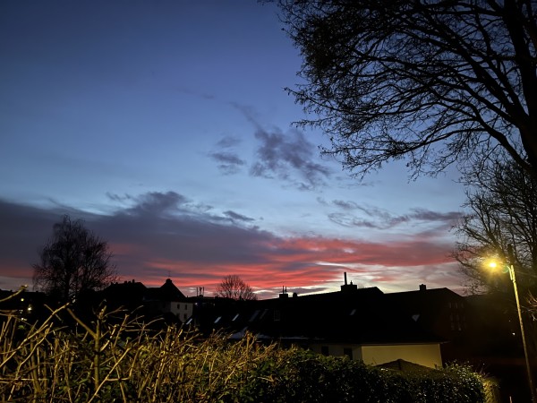 Ein Dämmerungshimmel mit Blau- und Rosatönen, mit Silhouettenbäumen und Dächern. Eine Straßenlaterne wirft ein warmes Leuchten, und eine spärliche Hecke ist im Vordergrund sichtbar.